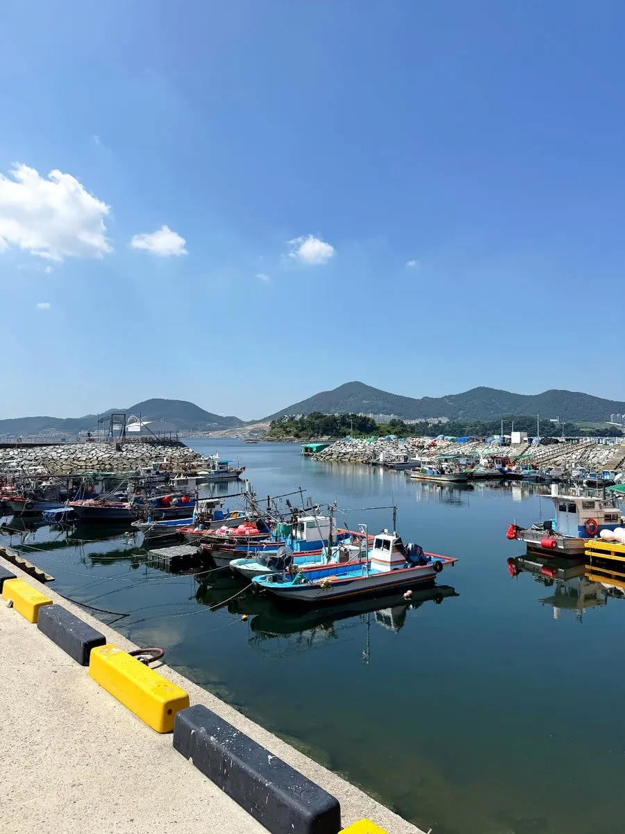 Uchangho sashimi takeout shop at Ungcheon Port