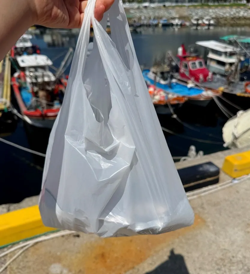 Pearly-white prepared red sea bream sashimi