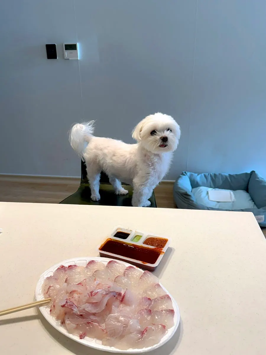 Insulated sashimi package after arriving at the accommodation