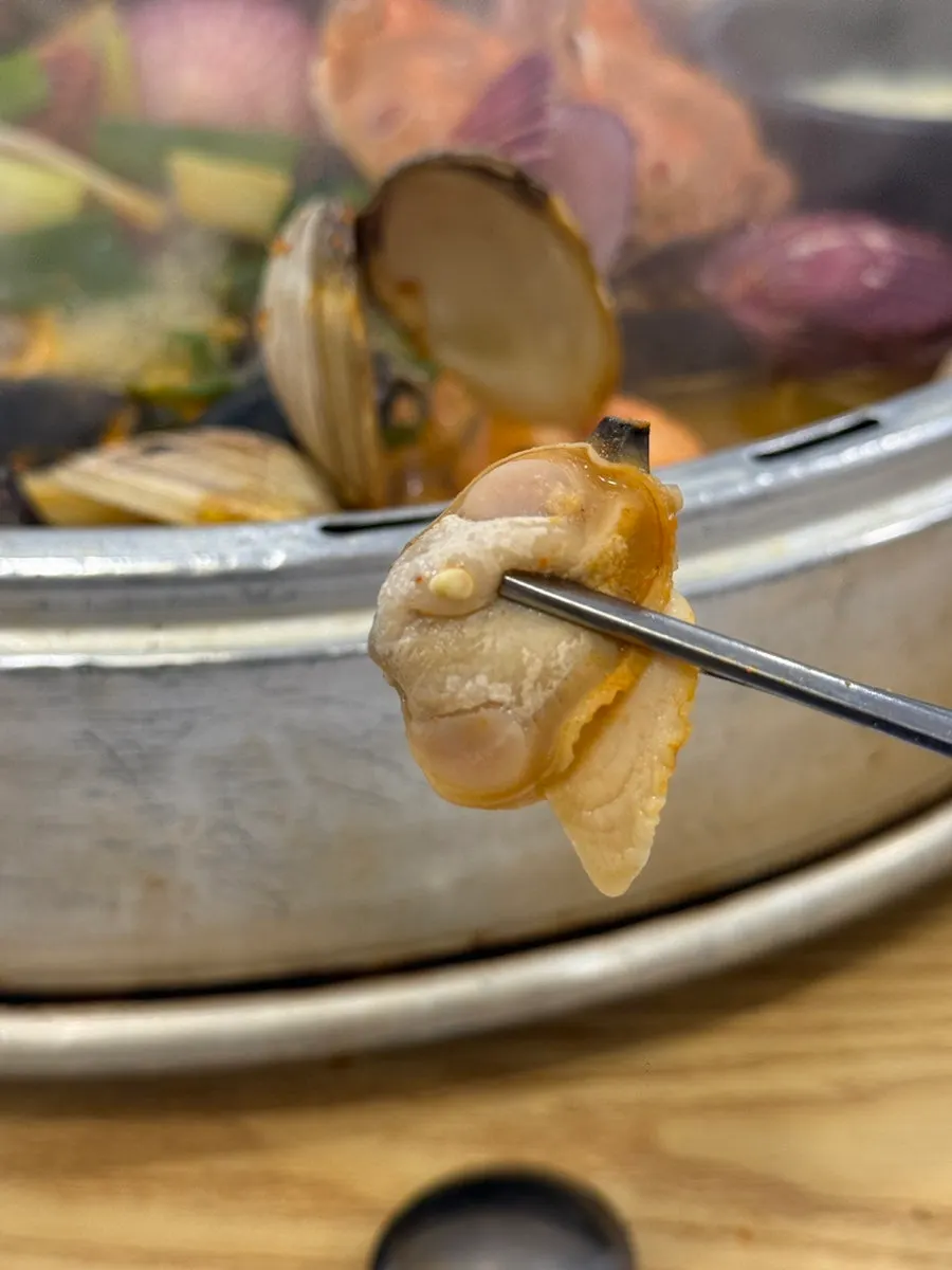 Hard clams and seafood in clam hot pot