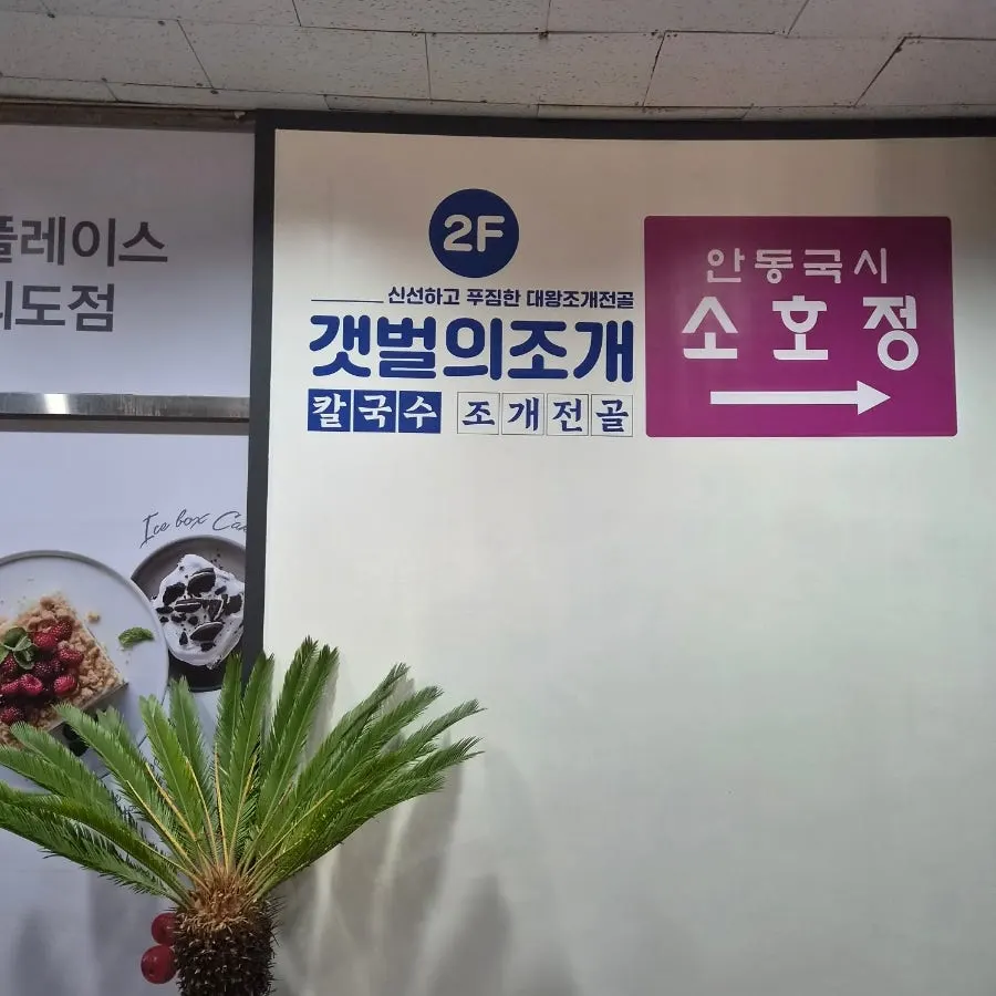 가글과 치실, 후식 사탕이 놓인 카운터