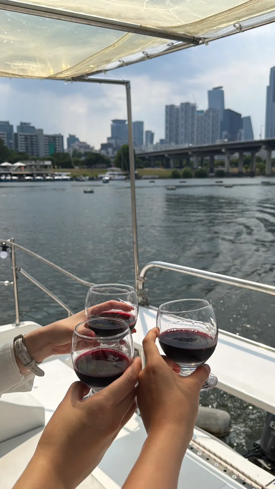 Yacht tour prepared with wine and snacks