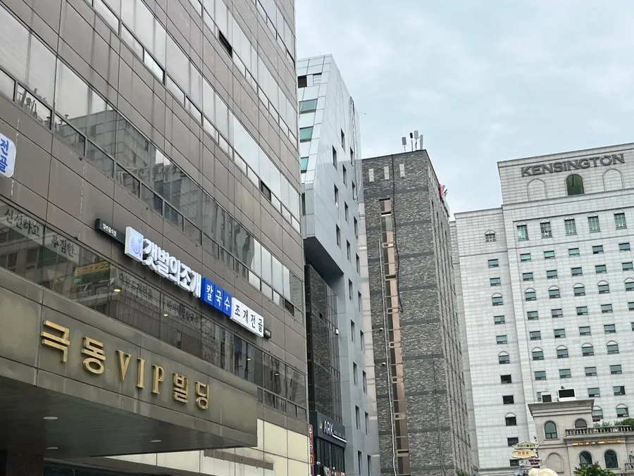 Exterior of the Geukdong VIP Building near National Assembly Station