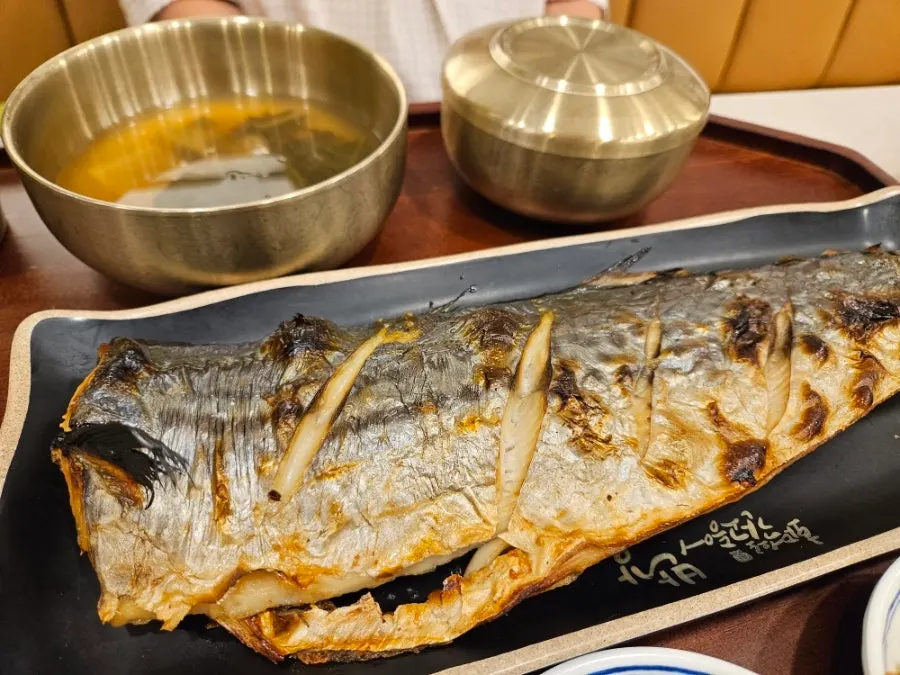 Neatly arranged side dishes and grilled fish set