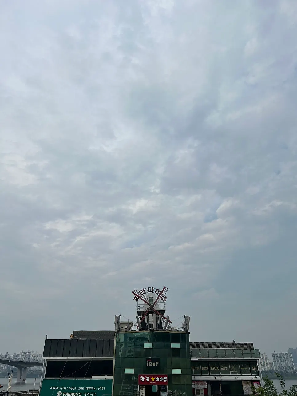 세일링파라다이스 한강 요트 탑승 모습