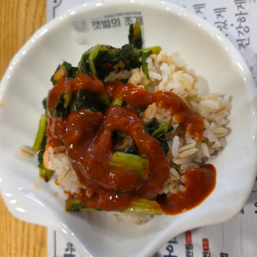 A spoonful of yeolmu barley rice mixed with chogochujang