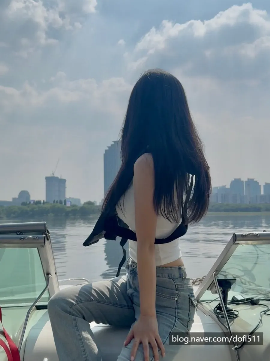 Scenery during a Han River yacht tour