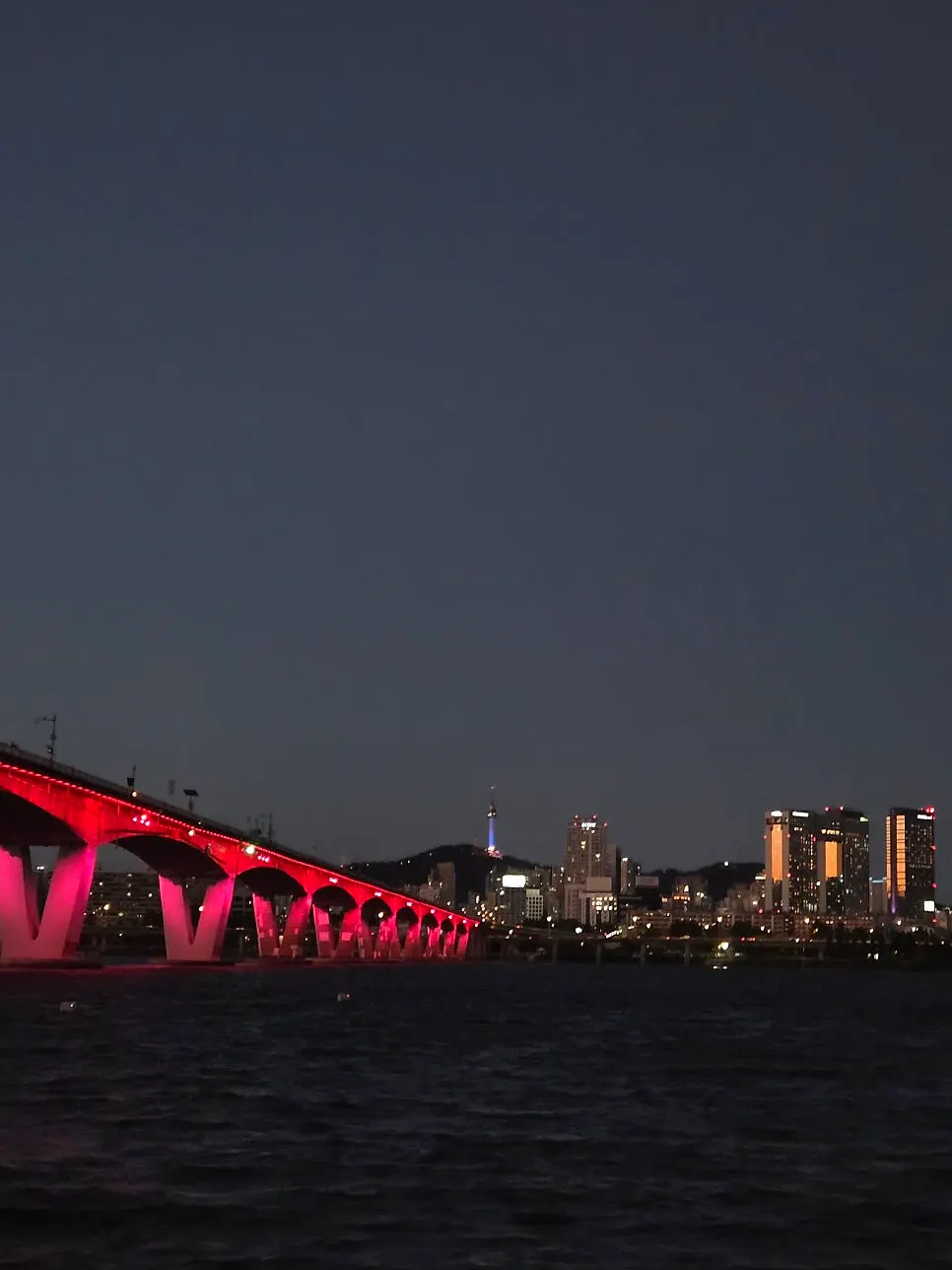 Photo of enjoying Han River night views