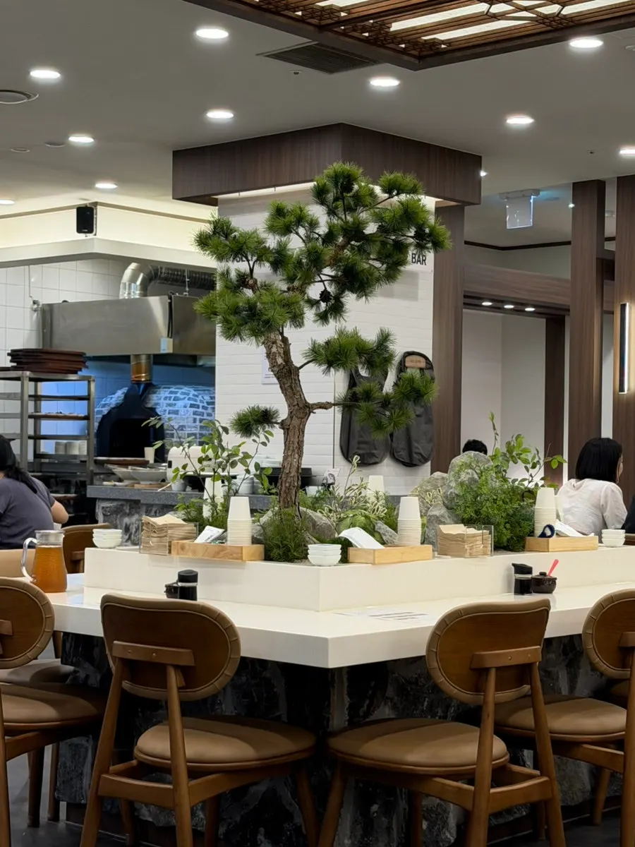 Neatly arranged interior seating