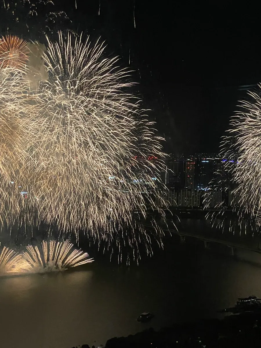 Fireworks over the Yeouido night sky