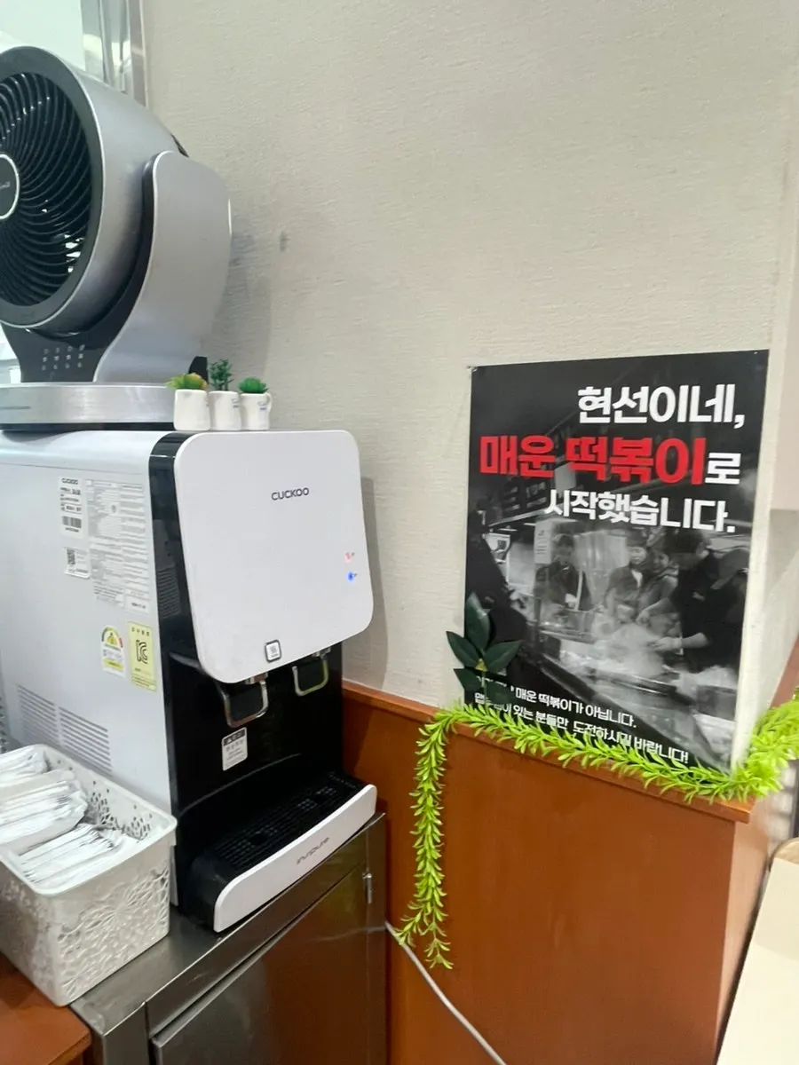 Information about Hyeonseonine Tteokbokki's Yongsan street-stall origins