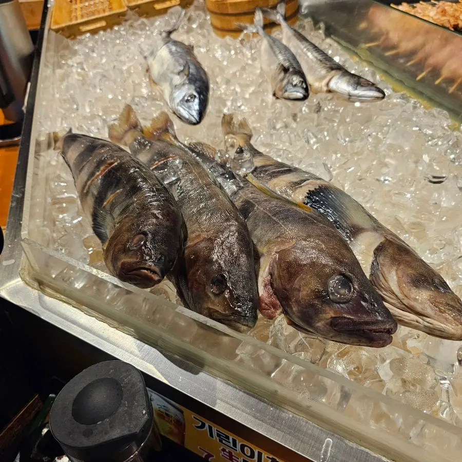 Restaurant with a tachinomi-style bar counter