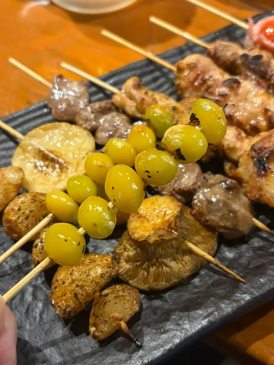 Close shot of one skewer from the mixed set