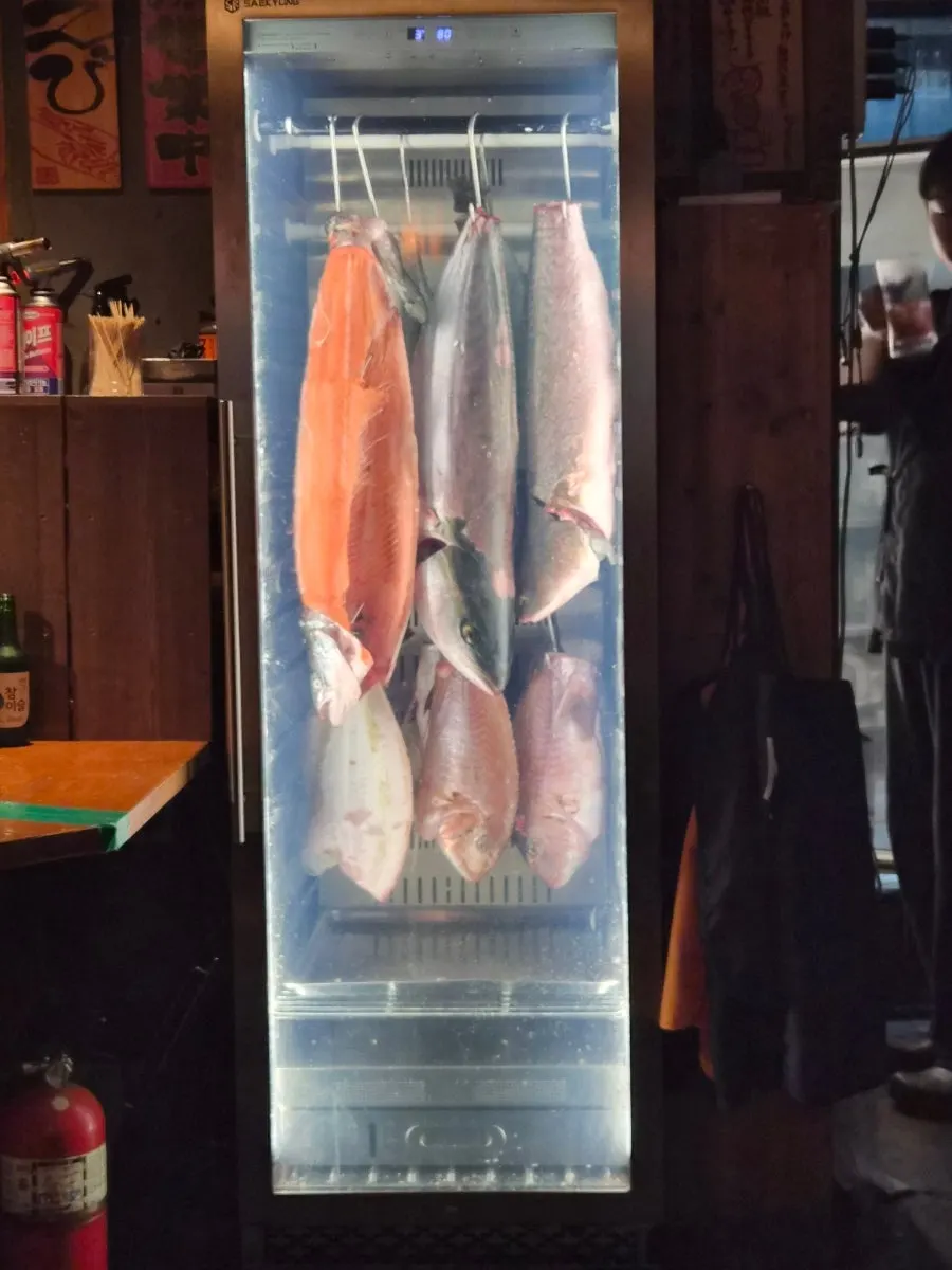 Interior view with a fish fridge case including tuna