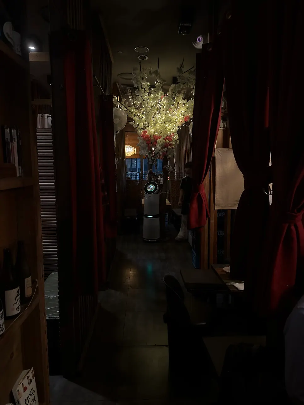 Dim, cozy interior lighting of the izakaya