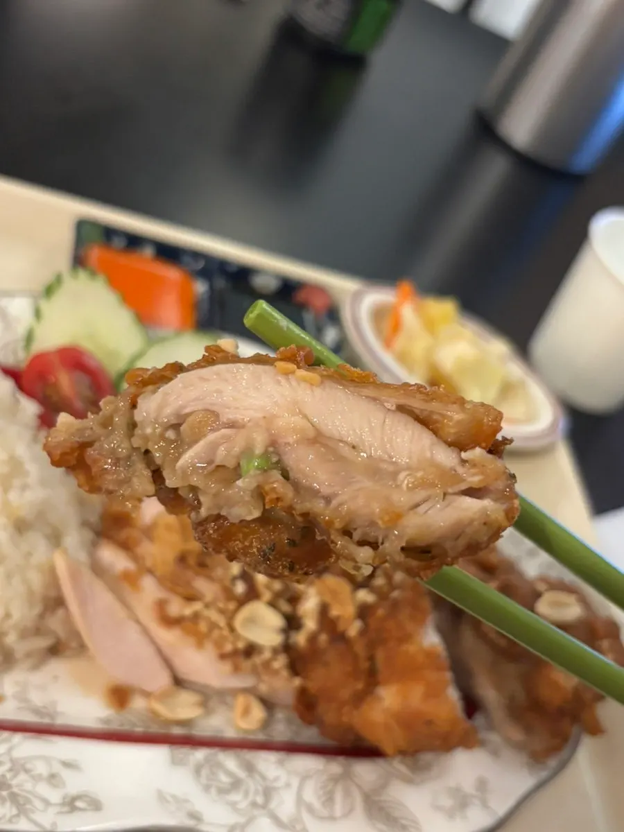 Two kinds of chicken on half-and-half chicken rice
