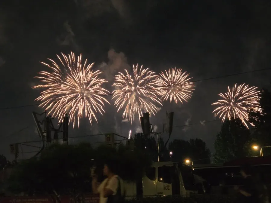 Yeouido Park scenery on the day of the Yeouido Fireworks Festival