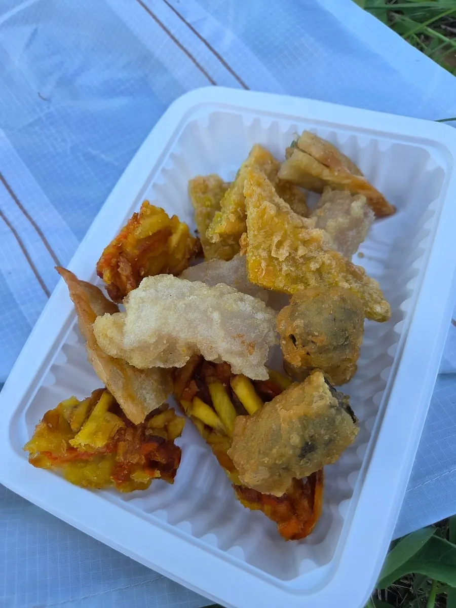 Tteokbokki, sundae, fried snacks, and gimbap on a picnic mat