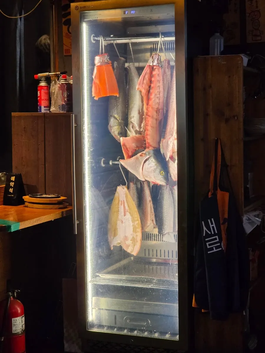 숙성 중인 횟감이 보이는 매장 내부