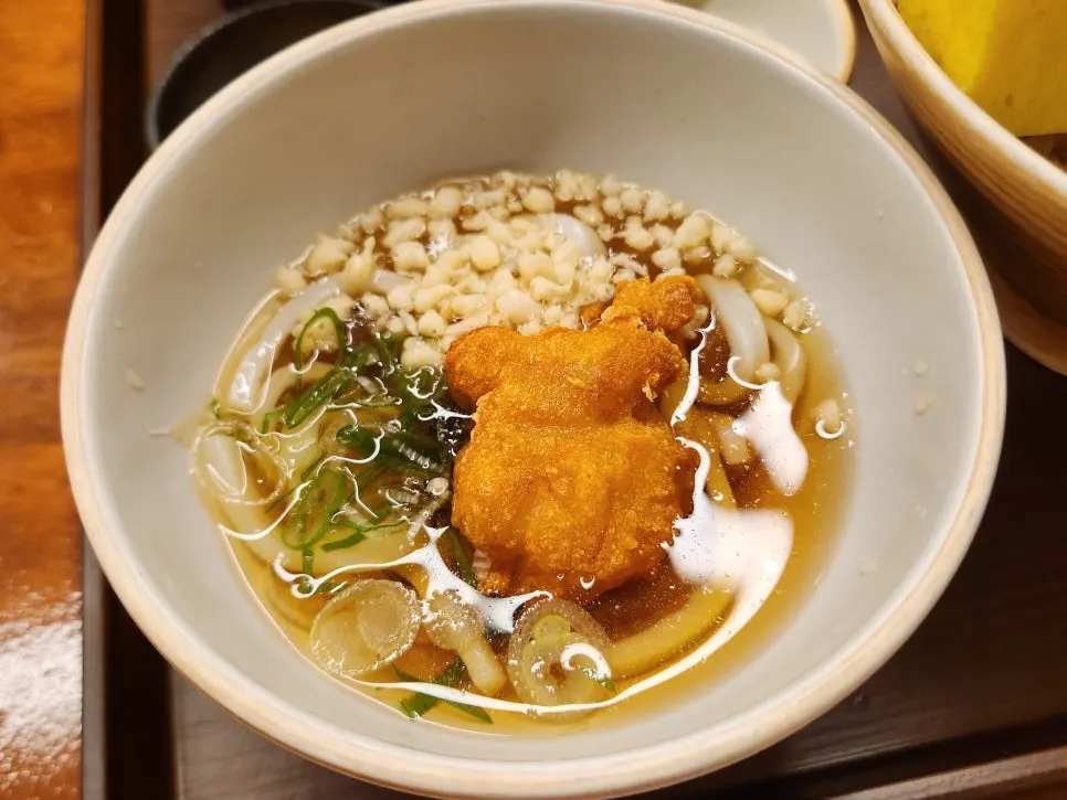 Cold udon with karaage served alongside the kaisendon