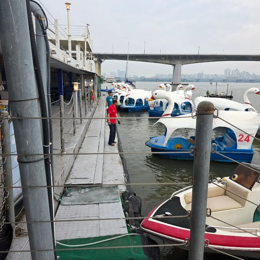 An exciting moment on the Han River yacht tour