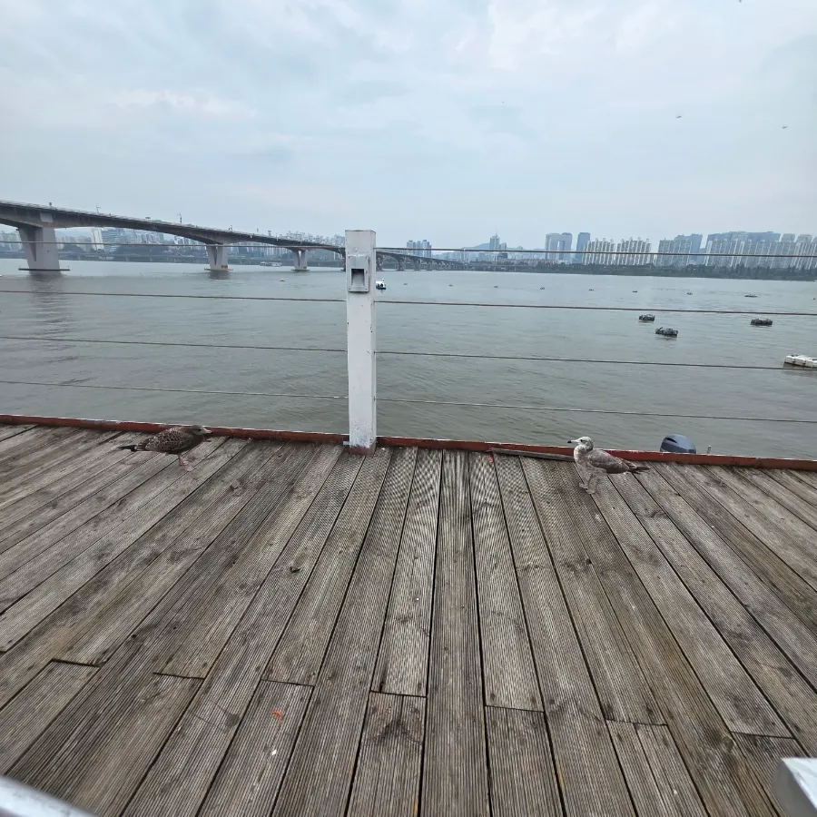 Boarding location near Yeouido Hangang Park