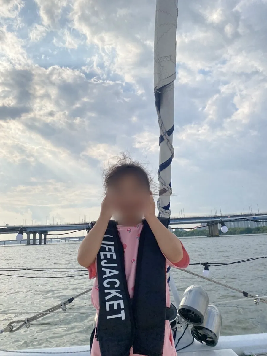Quiet Han River yacht tour scenery