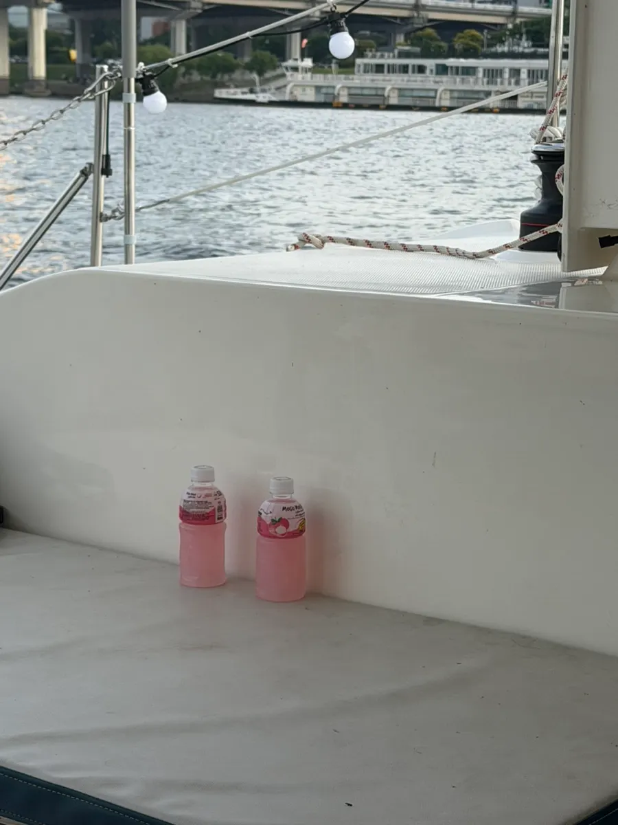 Scenery during a Han River yacht ride