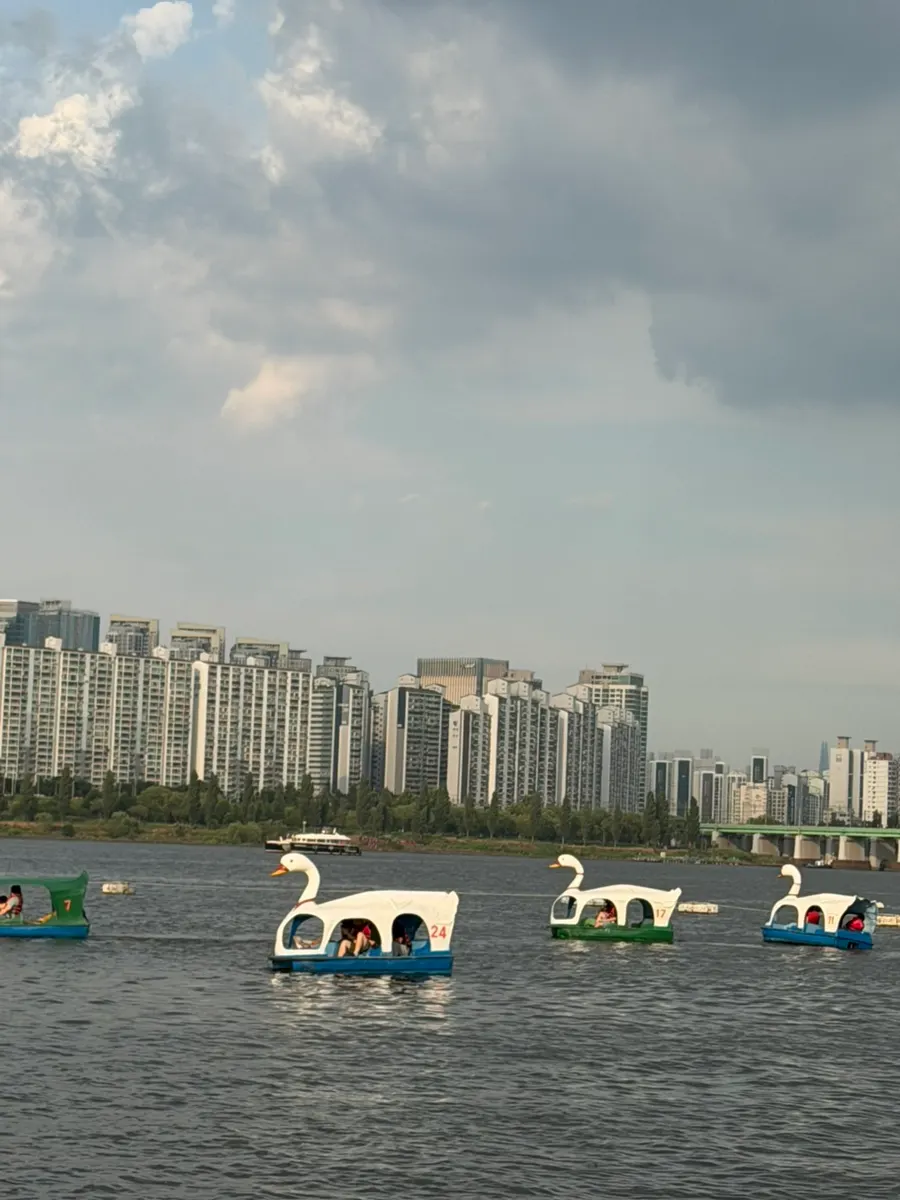Han River scenery on a yacht tour