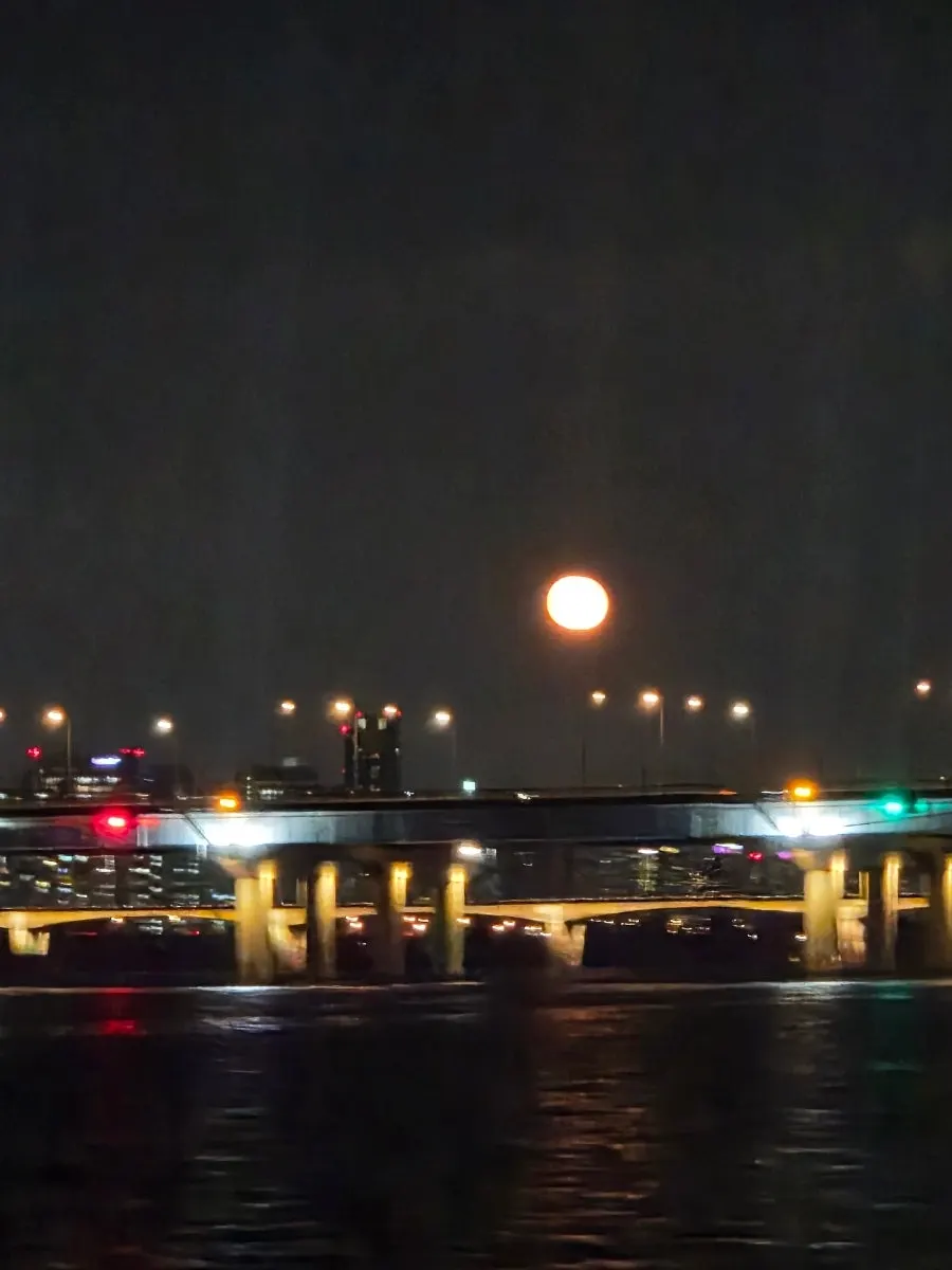 Night-view time on the Han River with my mom