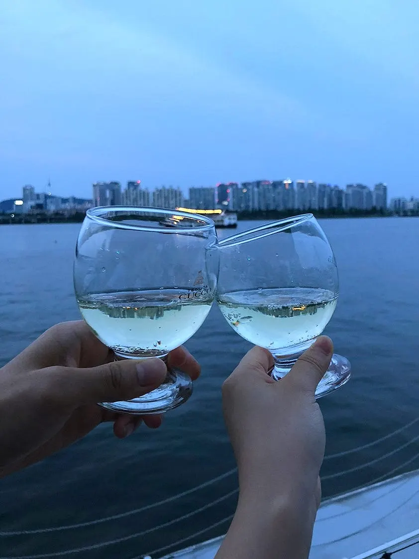 Sailing Paradise Han River yacht tour
