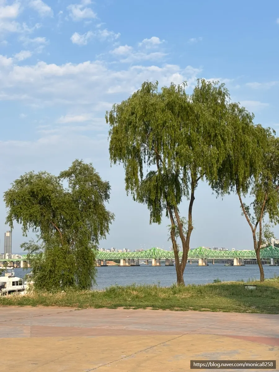 Yacht tour departing from Yeouido Hangang Park