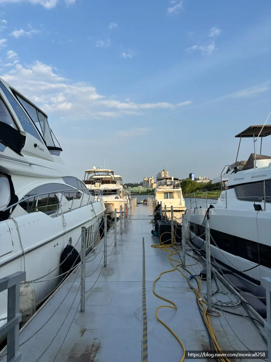 Sailing Paradise Han River yacht tour