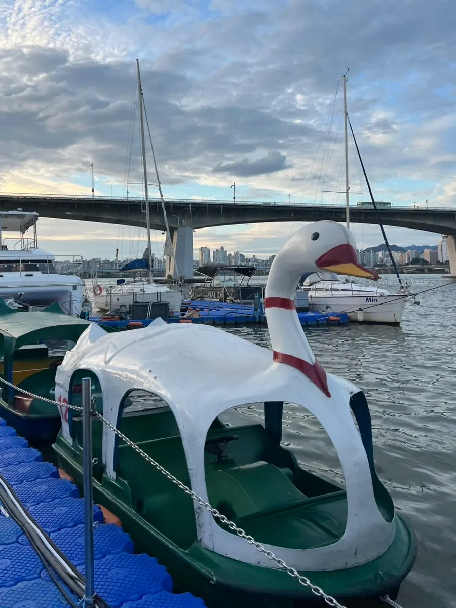 Yeouido yacht tour and scenery around the Han River