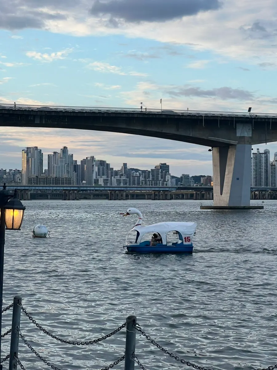 Scenery related to the fireworks-season yacht tour information