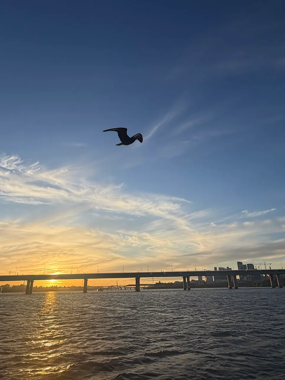 Han River sailing scenery toward Hapjeong