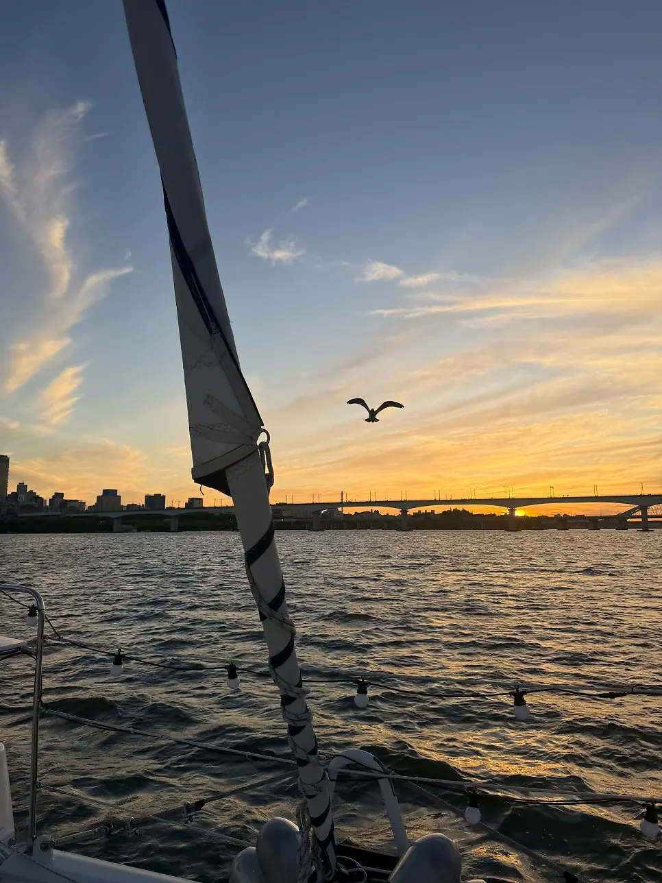 Han River yacht date sailing in Yeouido