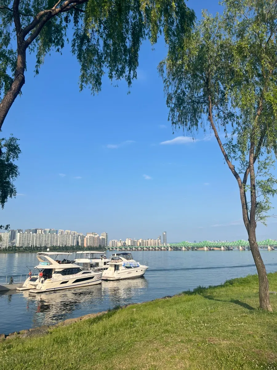 Introduction to various yacht tour programs