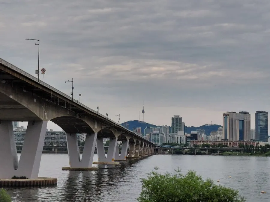 여의도공원 산책 풍경
