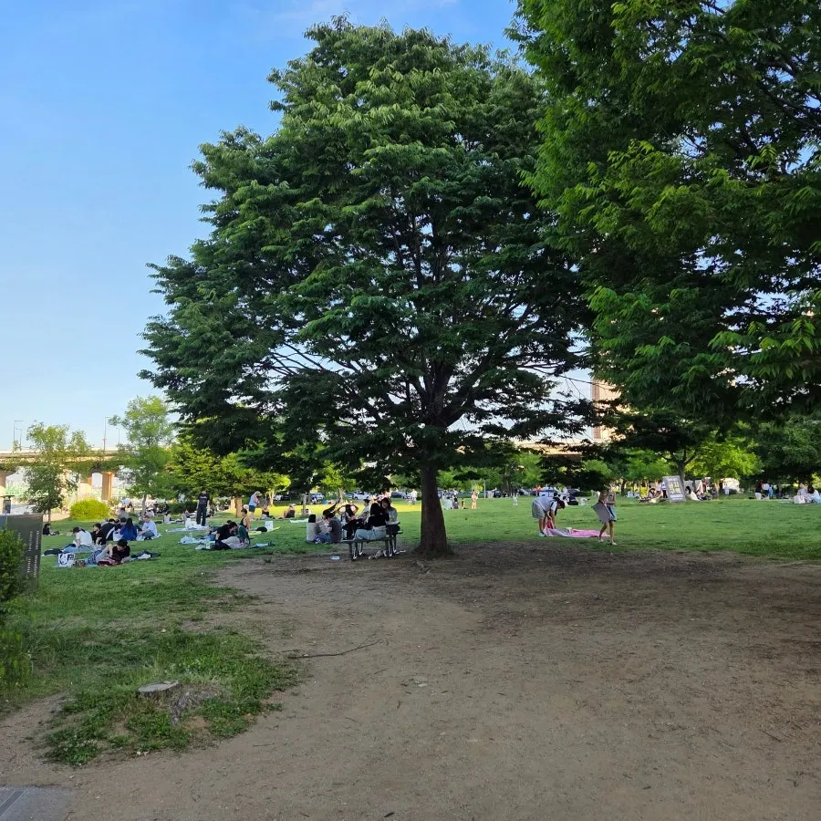 Picnic scene at Han River Park