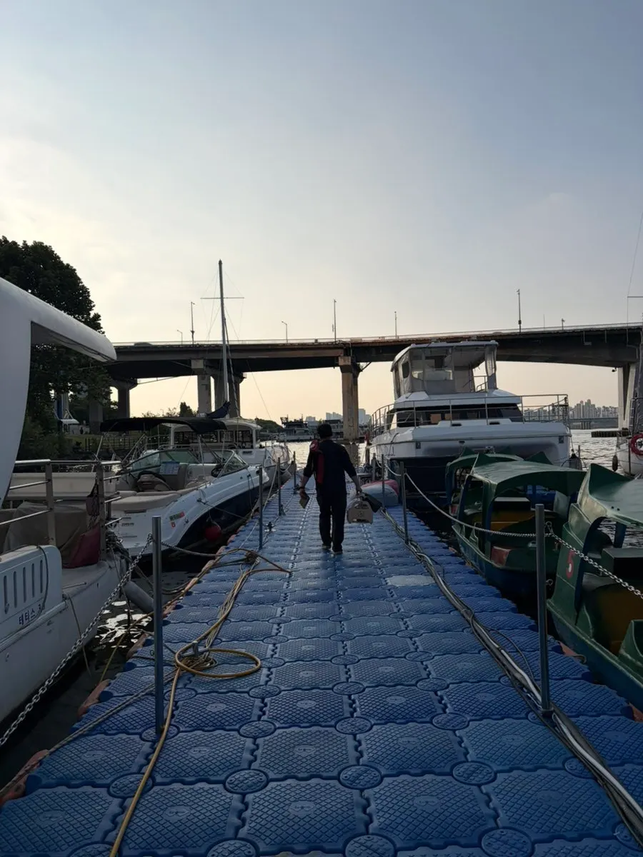 Watching Han River duck boats before boarding