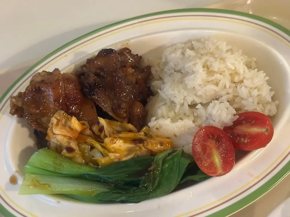 Close-up of chicken on the Singapore chicken rice