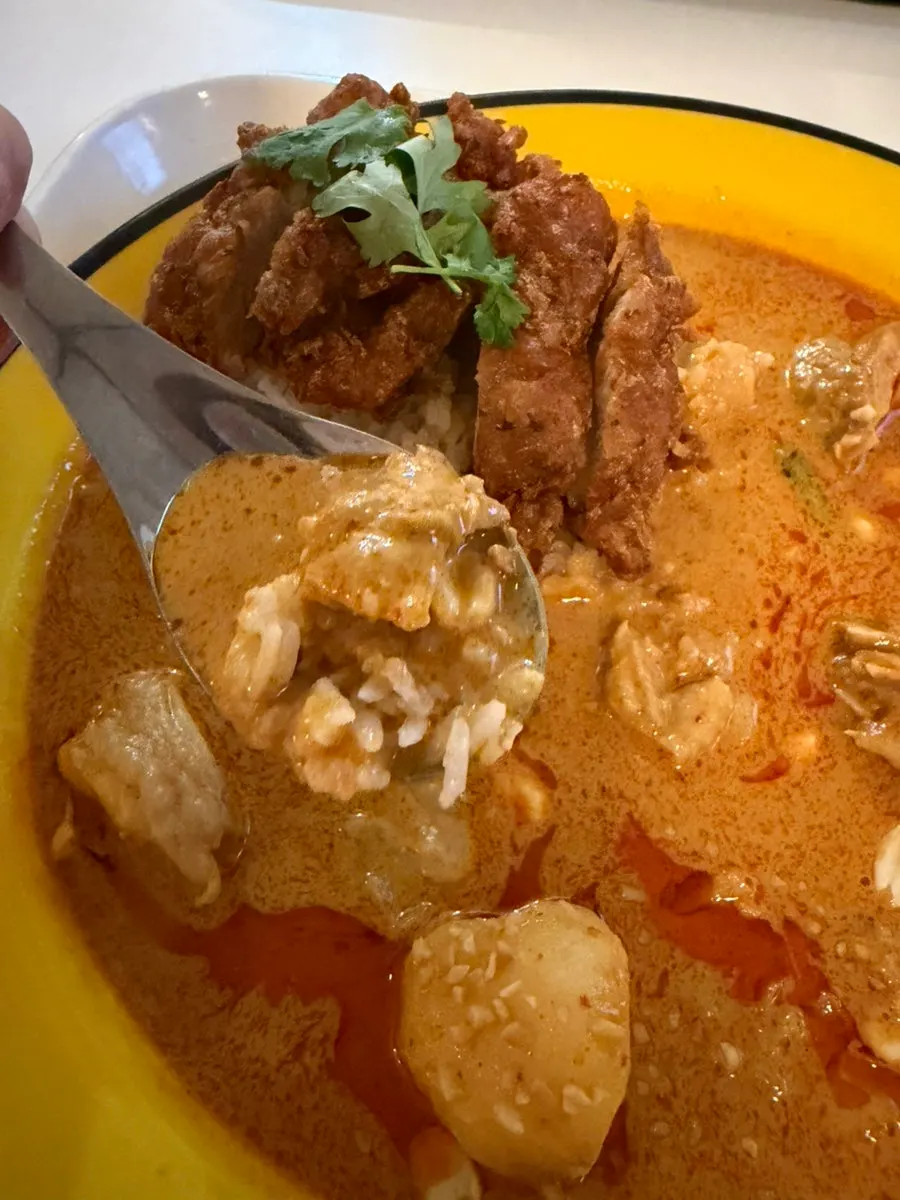 Close-up of the thin red curry