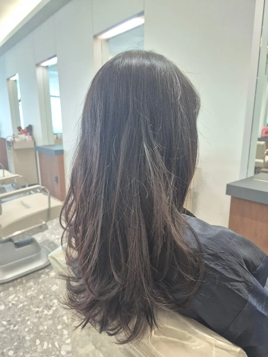 Hair condition before dye showing matte brown color