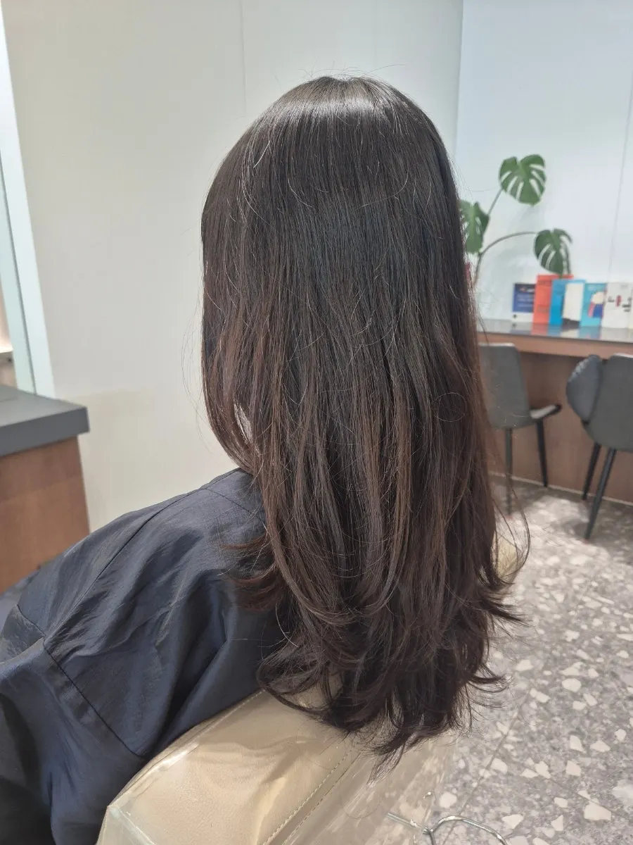 Hair showing color difference between top and bottom before consultation