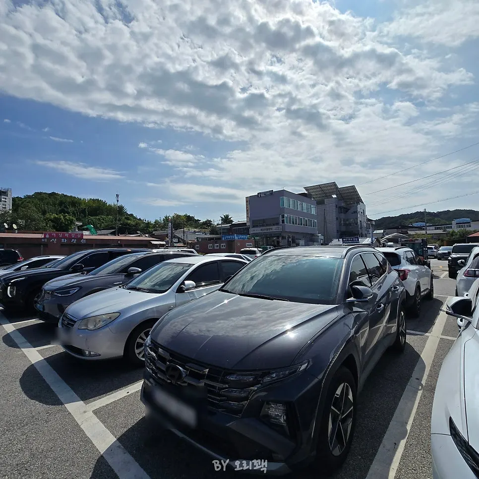예산상설시장 통로와 점포 풍경