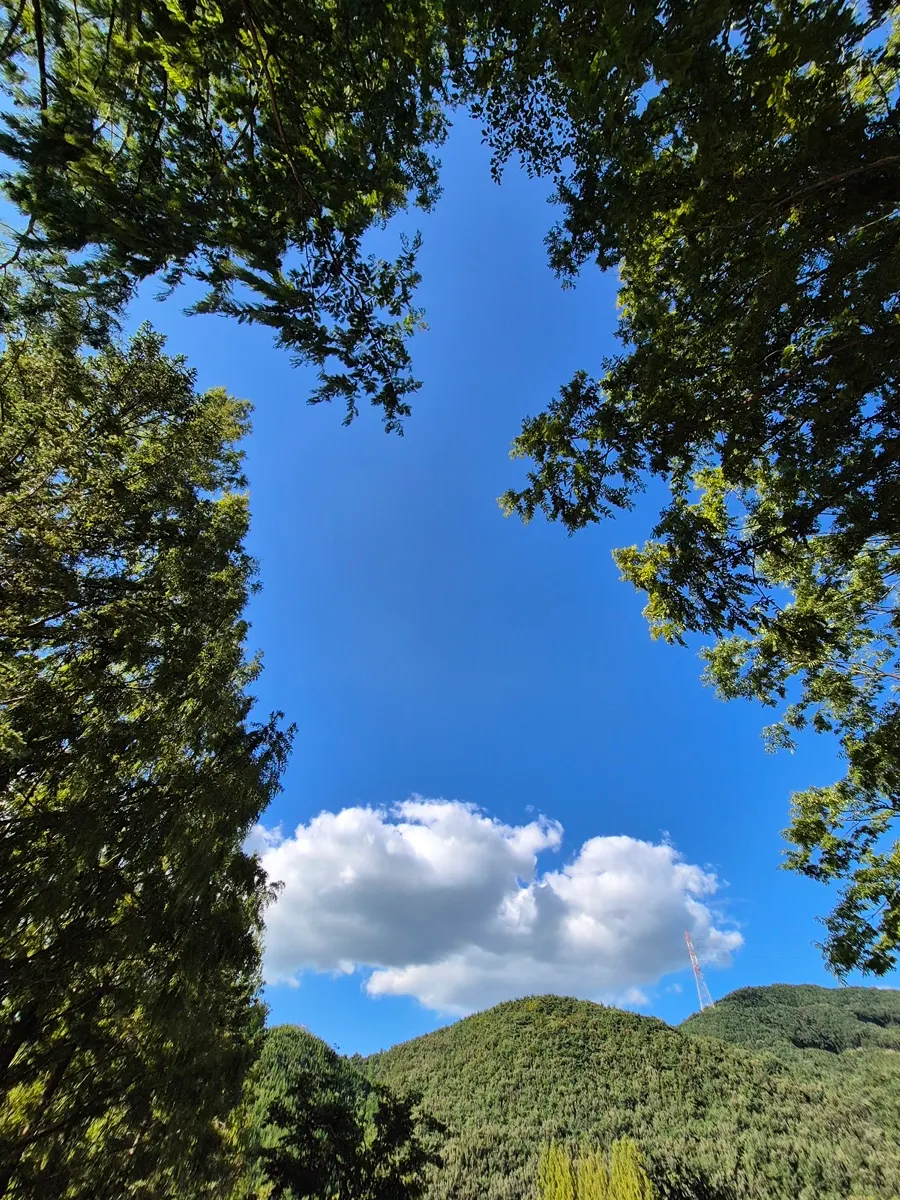 Clear weather scenery after camping