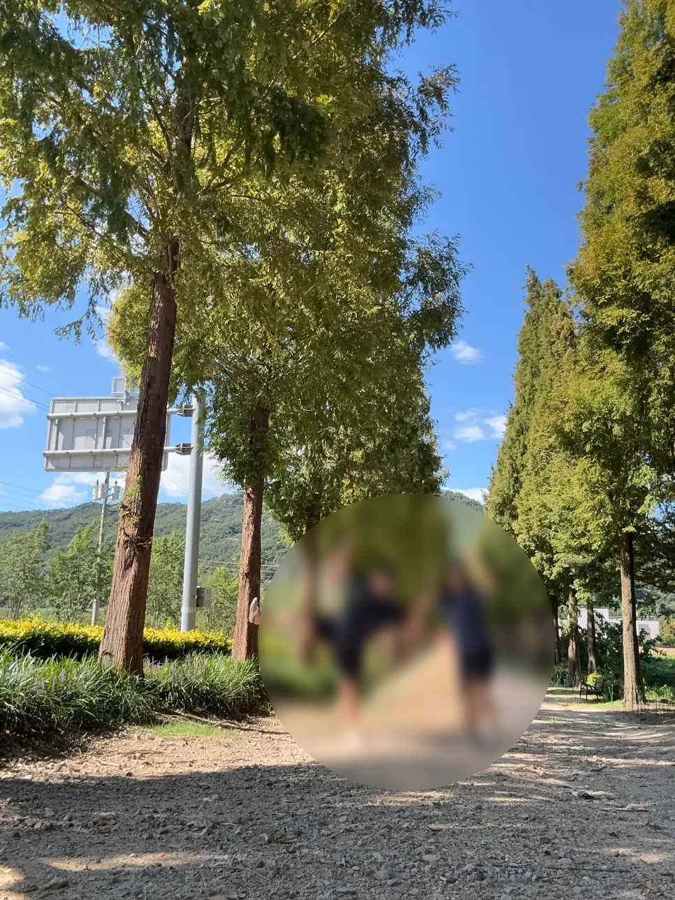 礼山旅行中的晴朗天空