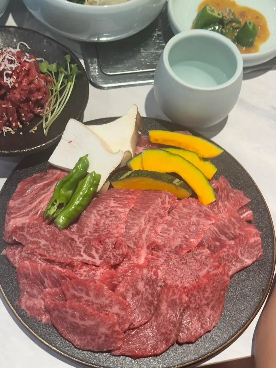 Raw chuck flap, tri-tip, and neck chain plated together