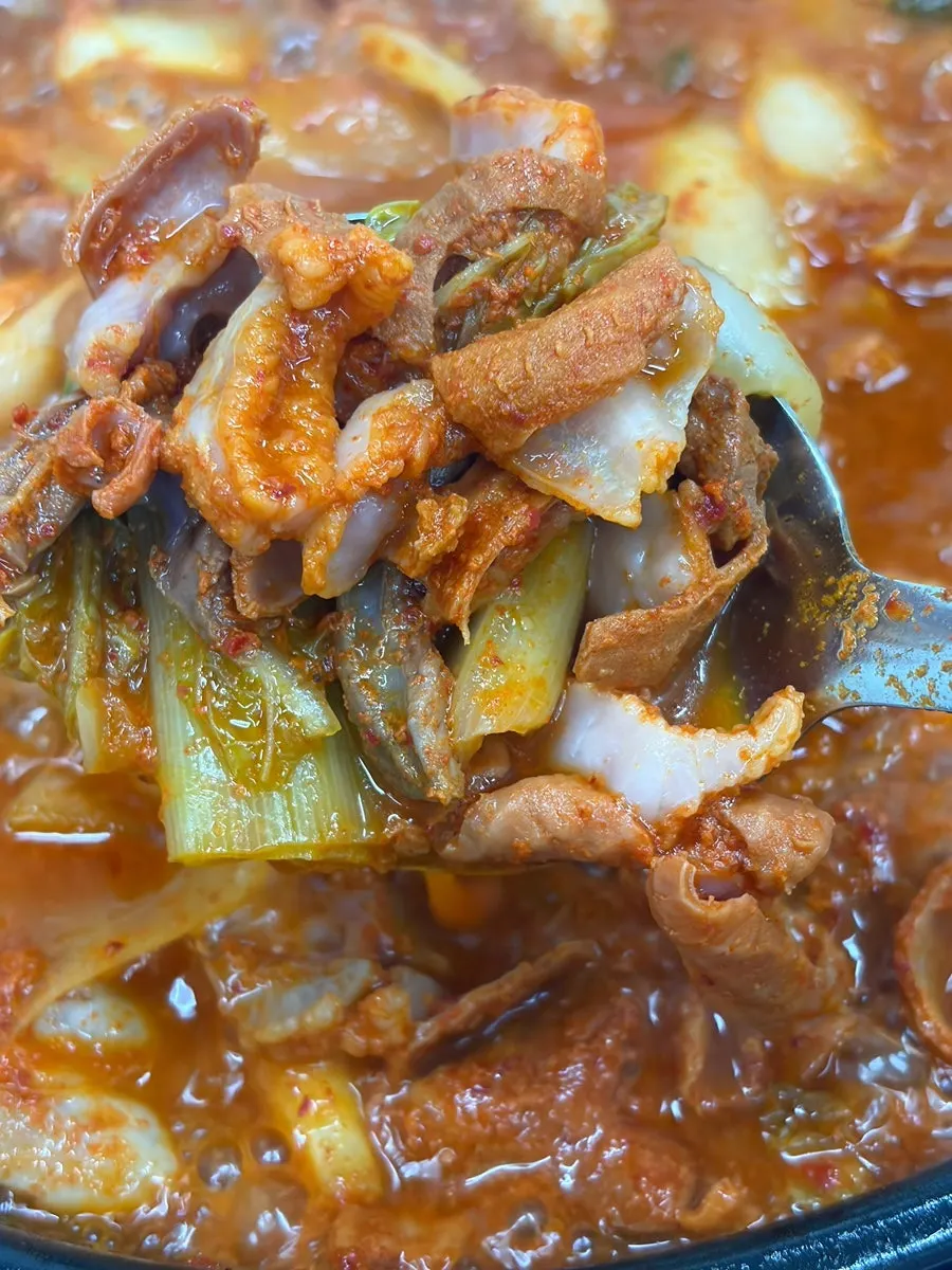 Gopchang and fresh kimchi hot pot pairing